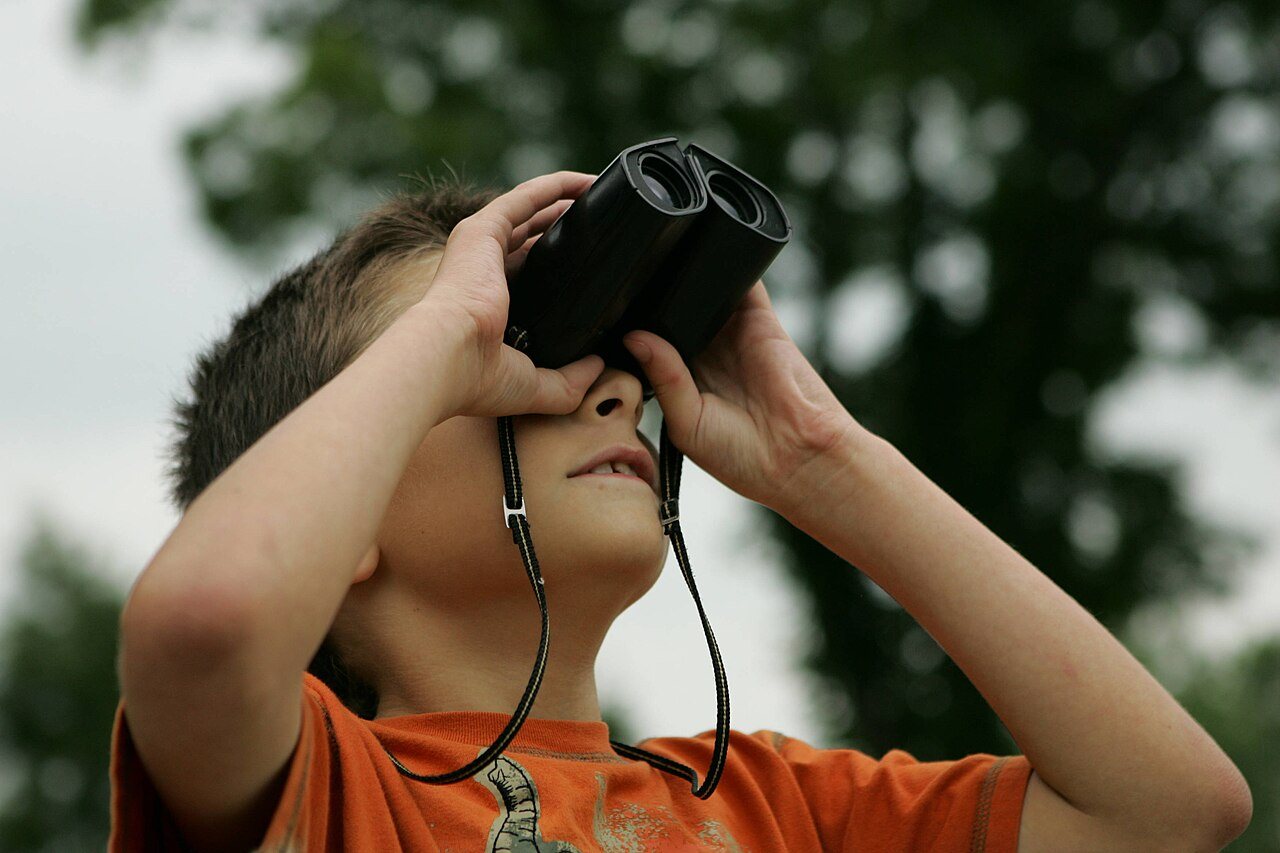 A child using binoculars, shown as a birdwatching illustration.