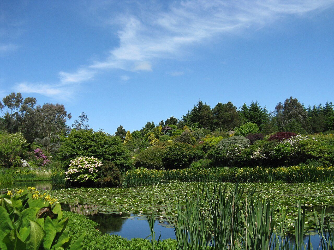 Glenwhan Gardens photographed on 12 June 2010; planting and conditions vary from year to year.